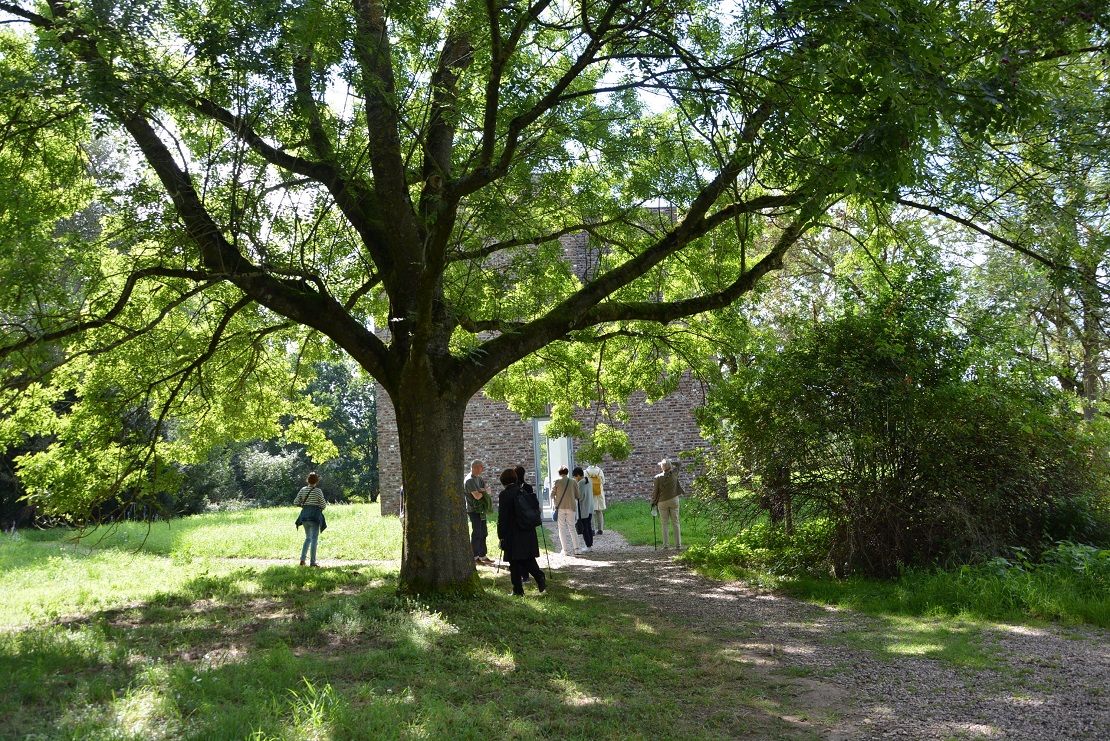 Exkursion Museum Insel Hombroich
