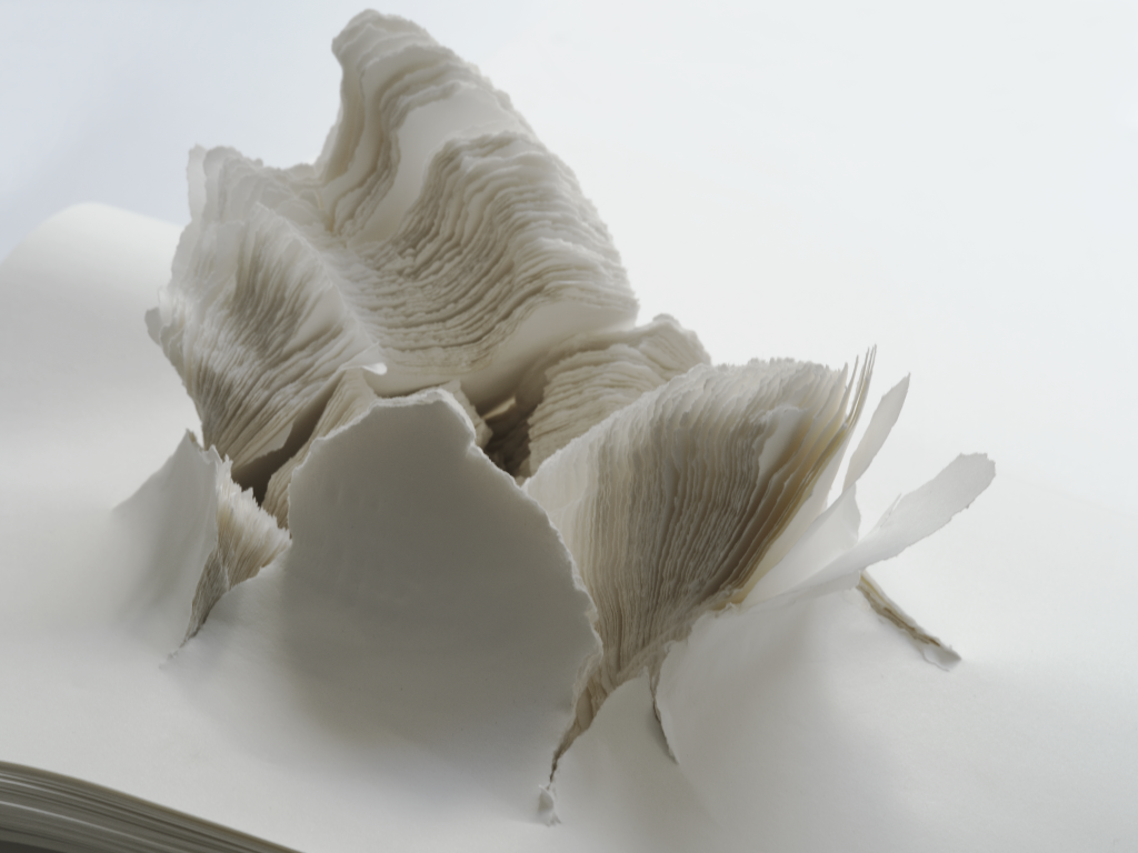 Oskar Holweck - O.T., 29.XII.82, 1982 (Detail)